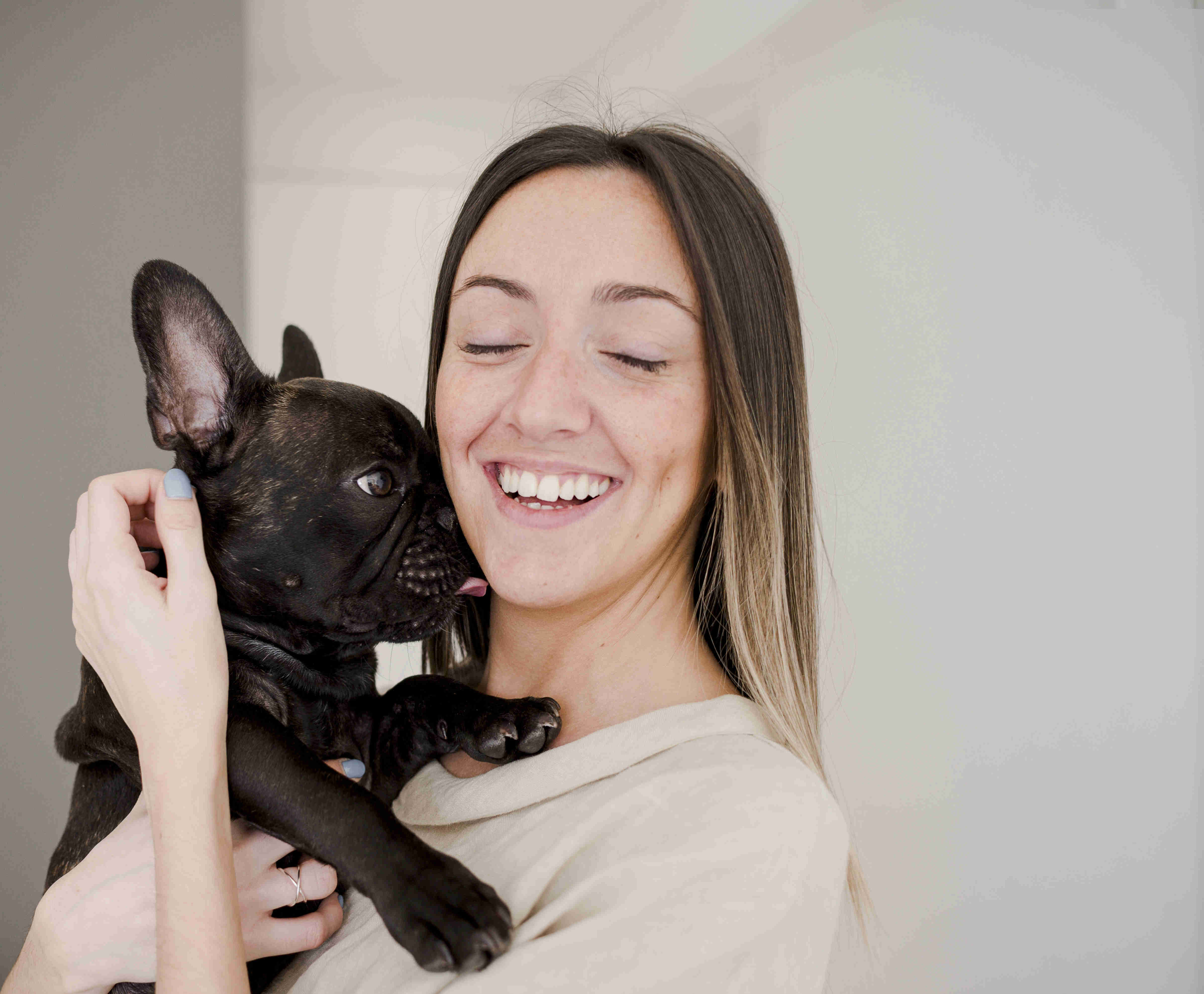 French Bulldog Teething: Tips and Tricks to Soothe Your Puppy's Pain